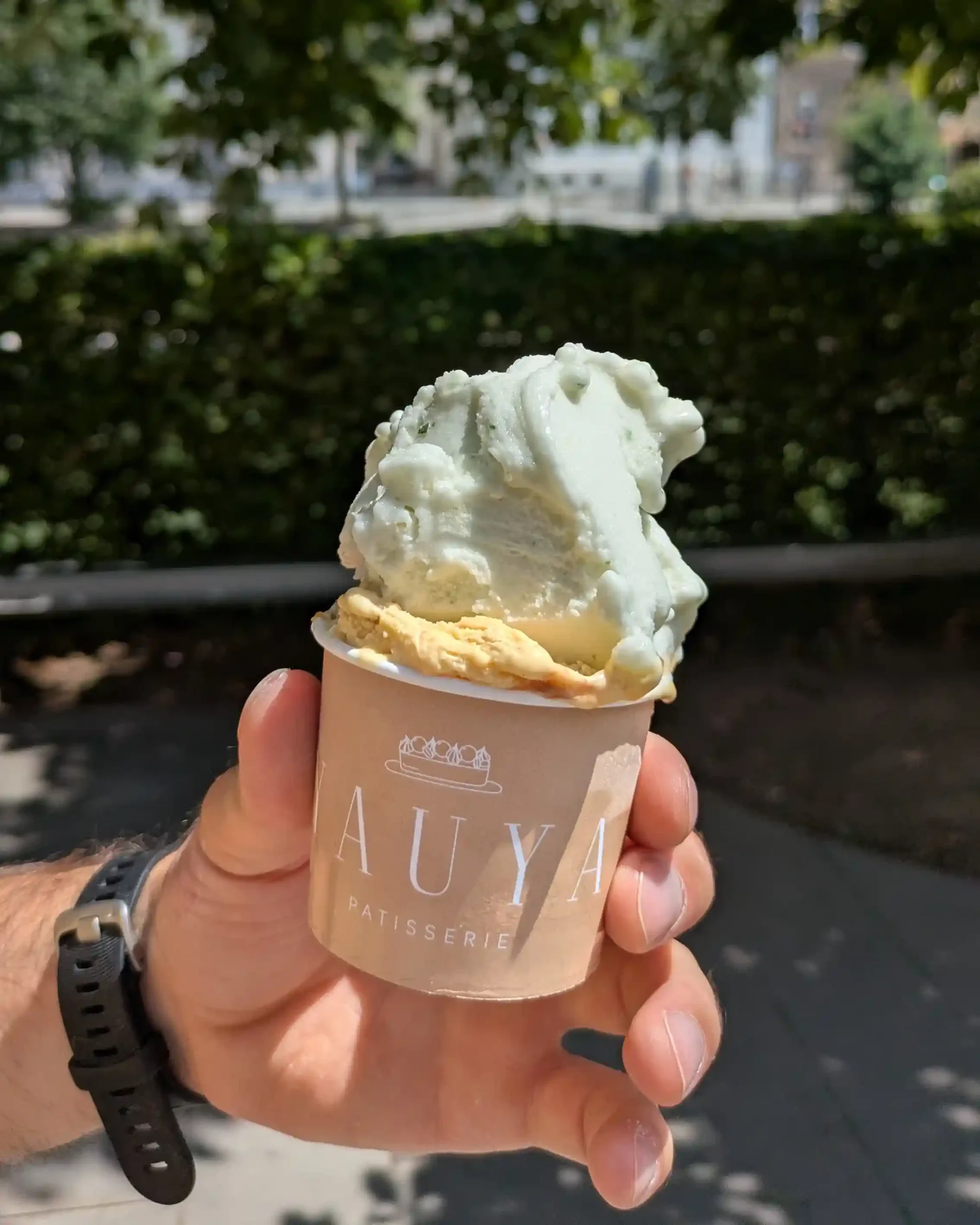 Yauya Ice Cream Ljubljana