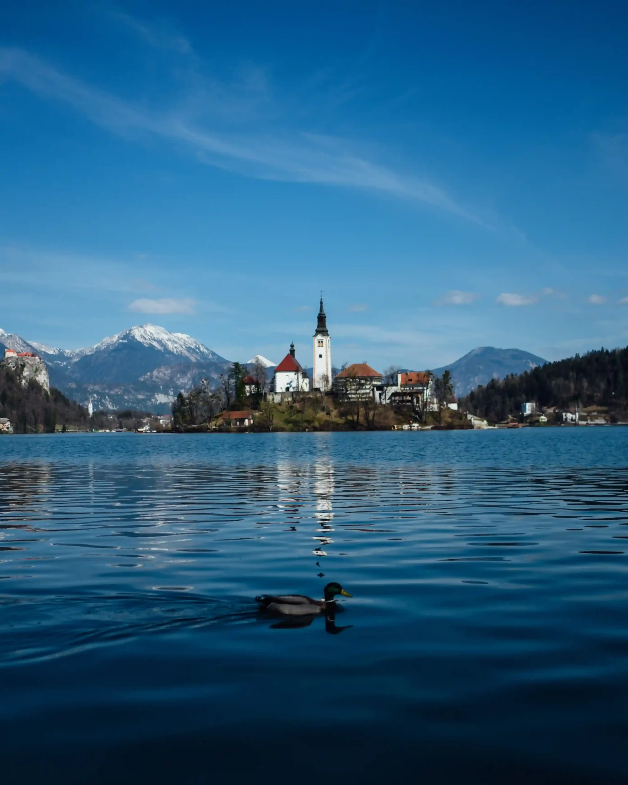 Bled