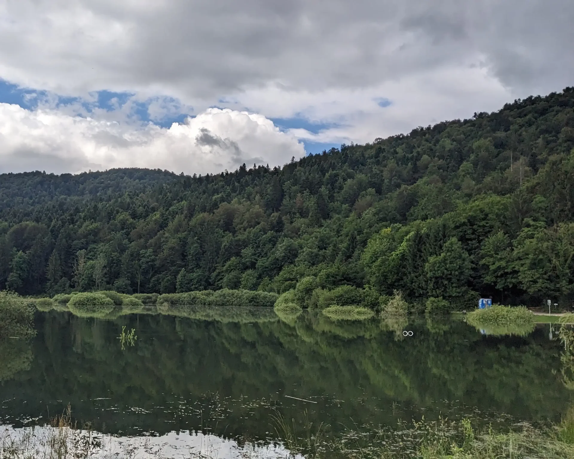 podpesko_compressed